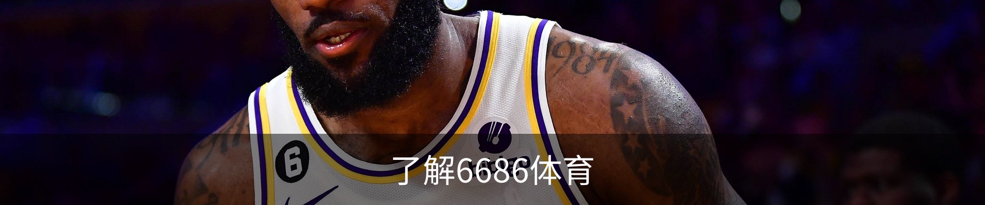 了解6686体育